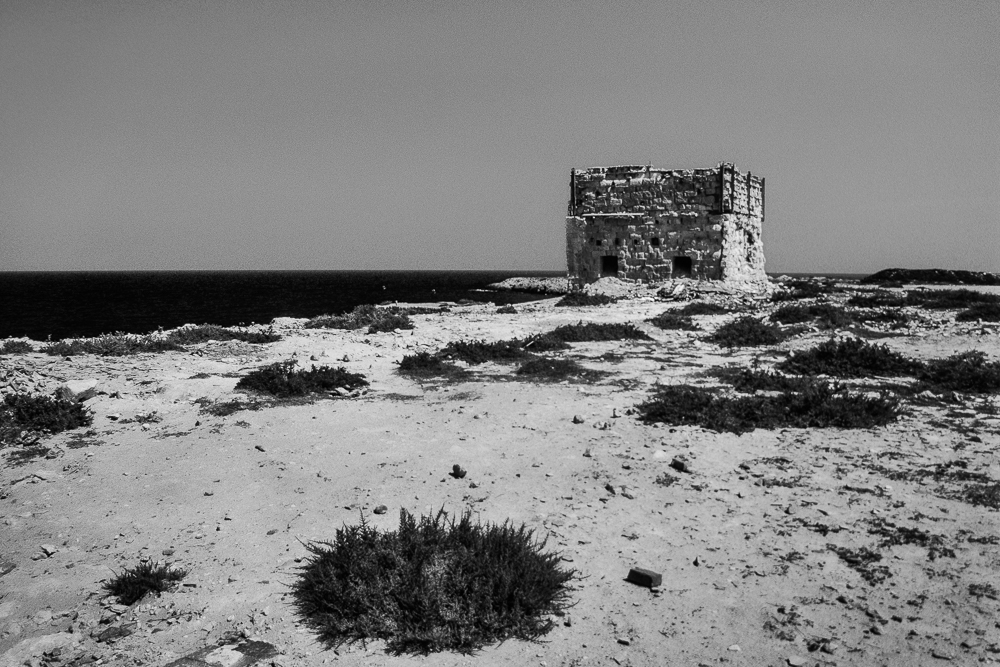 P1165368 FX