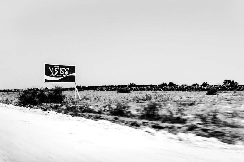 P1165368 FX