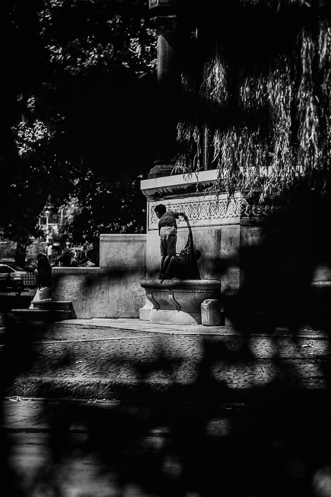 P1165368 FX